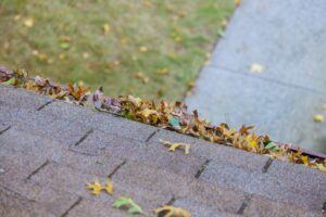 Dirty roof with gutter with leaves requiring cleaning