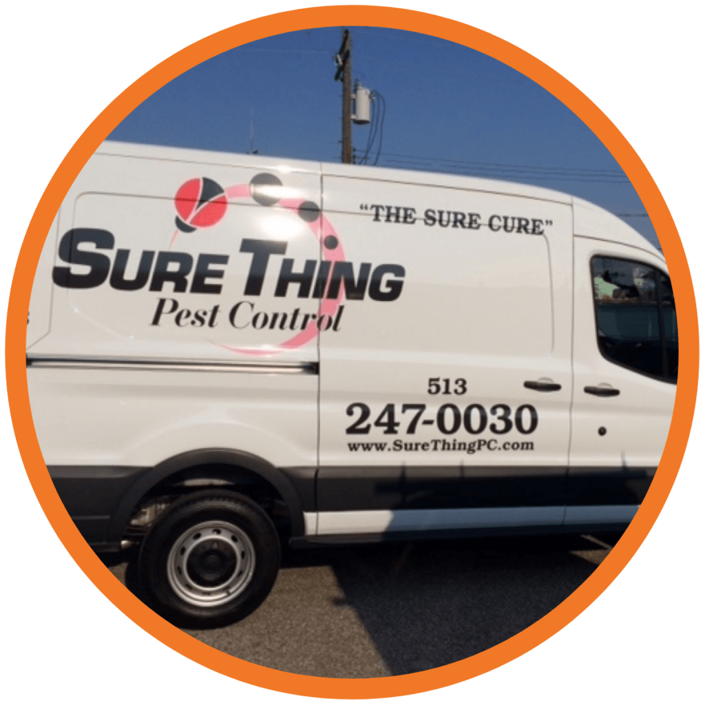 service van design example from sure thing pest control