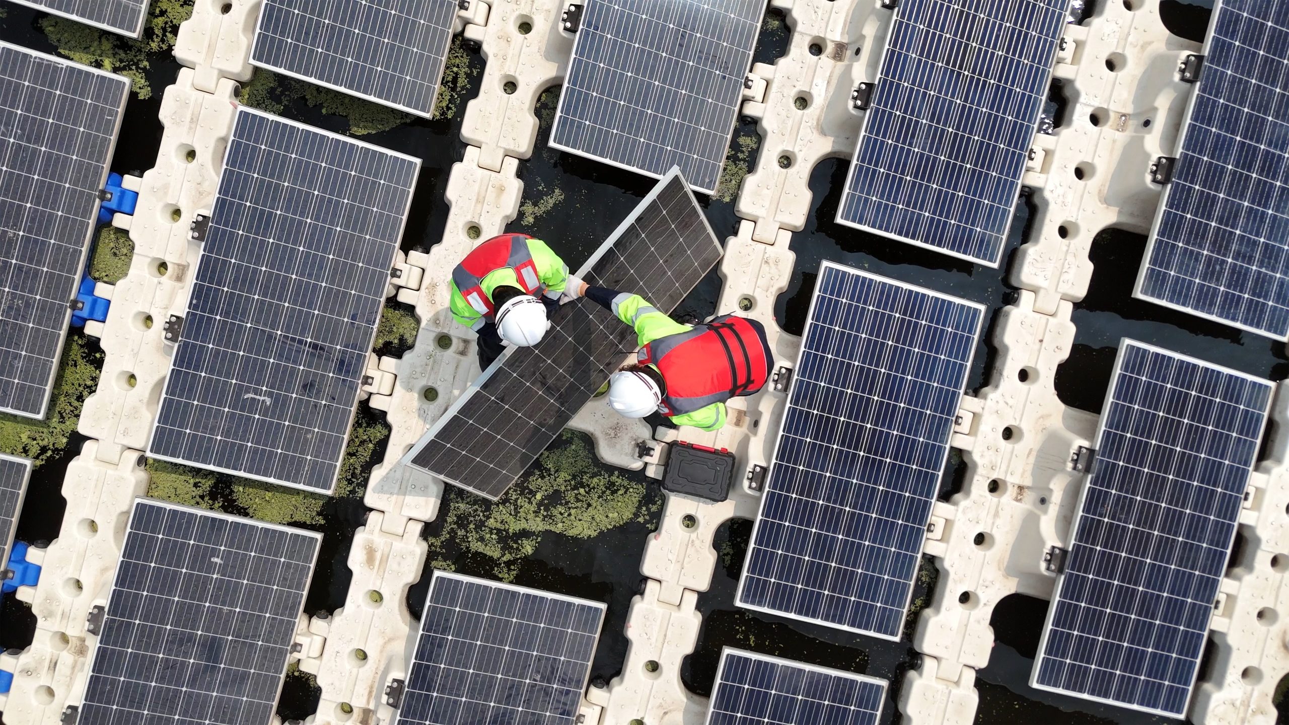 solar panel maintenance managed with renewable energy software